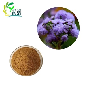 Fabrika Tedarikli 4:1, 10:1, 20:1 Doğal <span class=keywords><strong>Ageratum</strong></span> Ekstresi Tozu <span class=keywords><strong>Ageratum</strong></span> Conyzoides Ekstresi Tozu - Product Image 2