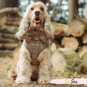 SinSky Individuelles Hundegeschirr-Set – Designer-Luxus-Set mit Verstellbarer Leine, Halsband, Kotbeutel, Halstuch und Personalisiertem Zubehör für Welpen und Hunde - Product Image 6