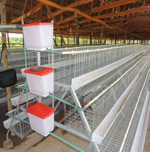 Yüksek kaliteli doğrudan üretmek güvercin üreme kafesi tasarım - Product Image 4