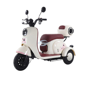 Electric vehicles are lightweight, flexible and highly safe, ideal for the elderly, women and children. - Product Image 1
