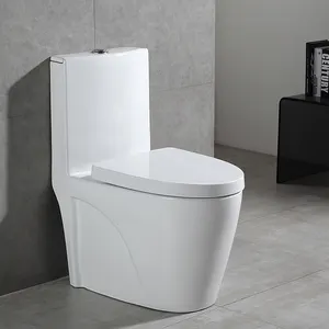 Toptan çift floş asya sıhhi tesisat inodoro S tuzak modern seramik wc sifonik tek parça tuvalet kase banyo için