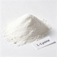 Poudre d'acides aminés non aromatisée pour les boissons sportives, les smoothies, les compléments post-entraînement, supplément de fitness OEM, poudre de L-Lysine
