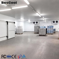 Solutions de Chambre Froide à Grande Échelle, Logistique de la Chaîne du Froid, Entrepôt Réfrigéré, Système de Réfrigération Industrielle