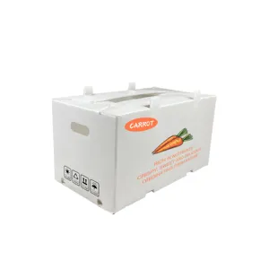 Individuelle Pp-Wellpappe-Verpackungsbox aus Kunststoff Karotte faltbare Kiste für Speicher Gemüse und Obst pp-Polypropylen