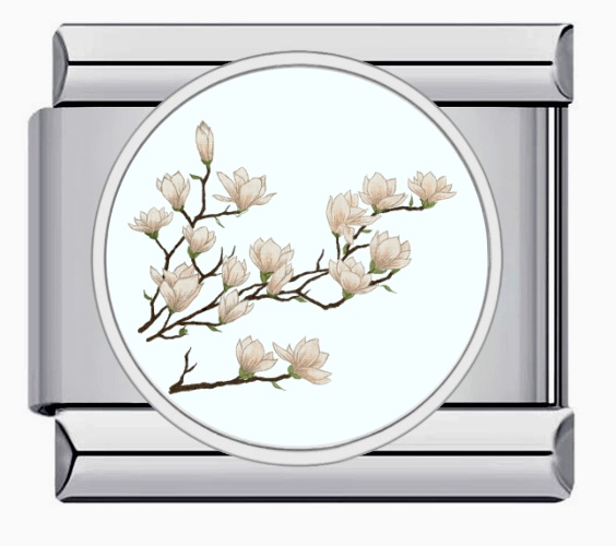 IC-i-2 Argent