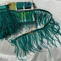 Frange en Plumes d'Autruche Véritables en Gros 10-15cm pour Couture DIY, Robe Flapper, Costume, Pyjama, Décoration Intérieure