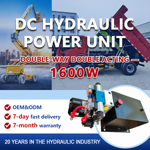 Unidad de Potencia Hidráulica AC 12V 24V para Elevador de Coches, Bombas Hidráulicas Bifásicas, Equipo Agrícola, Doble Acción, Control Remoto - Product Image 2