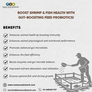Suppléments alimentaires probiotiques pour poissons et crevettes - Product Image 1