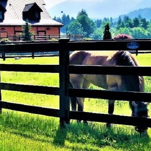 Grote Prijs Paard Pvc Hek Zwart 4 Rail Zwart Puur <span class=keywords><strong>Vinyl</strong></span> Plastic Wit Pvc Boerderij Hek Voor Paard - Product Image 3