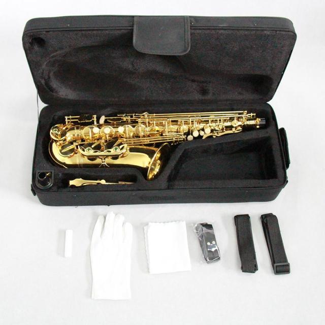 Beginner Alto Saxophone with E Flat Gold Lacquer Student Brass Musical Instrument Includes Case