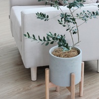 Pot de fleurs en ciment de 8 pouces avec soucoupe et support en bois, design moderne, auto-arrosant, pour intérieur ou extérieur