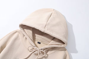 Sweat à capuche unisexe imprimé de logo personnalisé de l'usine Gahumi 600g coton lourd 13 couleurs automne hiver manteau hommes T-Shirt Polyester/coton - Product Image 5