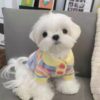 Pull en tricot coloré à rayures pour animaux de compagnie, motif crème glacée, pour chiens actifs