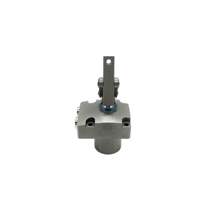 Haoshou-Abrazadera de Enlace Hidráulico de Doble Efecto, Cilindro para Abrazadera de Liberación Rápida, Similar a Pas-<span class=keywords><strong>cal</strong></span> CLW, Modelo de Abrazadera de Enlace Hidráulico de Doble Efecto - Product Image 3