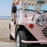 Mini Moke électrique rose 96V en acier, homologué pour la route, pour AWD, 4 places, adulte, kit de voiture classique chinois, buggy à vendre