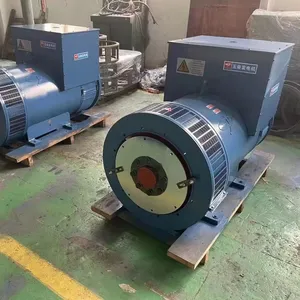 100kw alternator 3 giai đoạn 50Hz điện bắt đầu ròng rọc Máy phát điện mang đôi