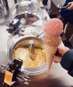 Máy làm kem phụ tùng cấp thực phẩm thép không gỉ khuấy Gelato Máy khuấy lưỡi - Product Image 6