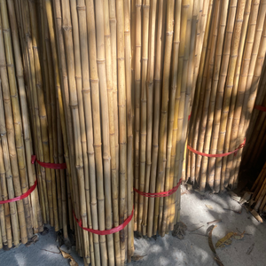 <b>Bamboo</b> Plant Support <b>Sticks</b> for Greenhouse Farming - Product Image 1