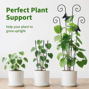 Lot de 2 treillis de jardin extensibles en métal, finition laquée, support robuste pour plantes grimpantes d'intérieur, fleurs, vigne, lierre, attaches incluses - Product Image 6