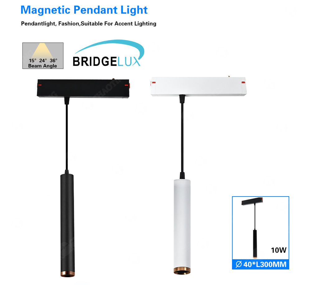 Magnetic Pendant Light