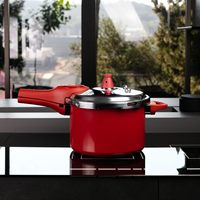 Autocuiseur Antiadhésif 4.2L Chauffage Rapide, Marmite à Pression de Cuisine pour Intérieur, Extérieur, Camping, Hôtel et Famille