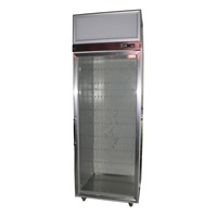 Congélateur mobile de stockage de glace d'affichage de porte en verre simple vertical boîte isotherme de la glace 150l