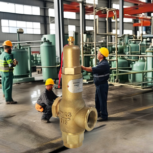 Vòi phun đầy đủ đồng thau cứu trợ van an toàn loại thông thường cho loại Van cổng nồi hơi - Product Image 4