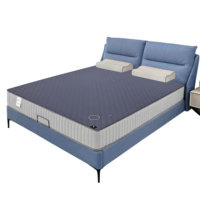 Tapis en coton argenté pour lit King Queen, housse de matelas saine avec cordon de mise à la terre