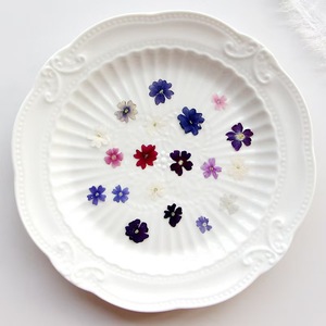 <span class=keywords><strong>Fleur</strong></span> de <span class=keywords><strong>verveine</strong></span> séchée MNR1992 pour la fabrication de bijoux en résine époxy, les créations artisanales pour enfants, les signets, les spécimens végétaux - Product Image 6