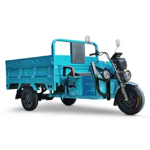 Strong Power Cargo Transportation Electric 1500W Cargo Motorcycle E Vehicle 3 wheel electric car