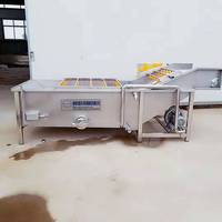 Nieuwe industriële motor aangedreven fruit- en groente ozonbelwasmachine voor gebruik in de condimentenindustrie