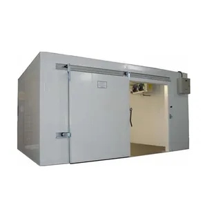 20英尺冷冻室冷库移动容器储存冷冻室冷冻室鱼蔬菜水果冰淇淋在冷冻室中行走