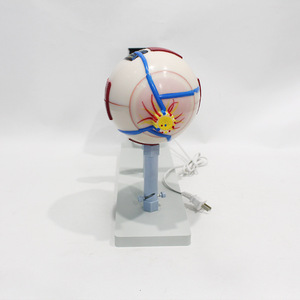 Modèle agrandi d'un simulateur d'imagerie oculaire ; Simulateur du principe de l'imagerie oculaire ; Expérience de biologie pour collégiens - Product Image 1