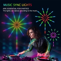 DIY APP musique télécommande feu d'artifice rêve couleur DC5V 60 leds mètre télécommande musique contrôle rgb pixel feux d'artifice led lumière noël