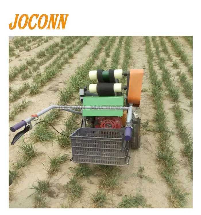 Professionele Oregano Koriander Oogsten Machine/Energiebesparing Sage Rozemarijn Harvester Machine/Tijm Sla Harvester Prijs