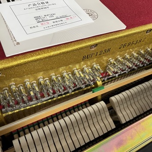 Pearl River Piano Wholesale Factory Direct Supply Quality Upright Pianos with Rich Tone and Stable Performance for Dealer - Product Image 2