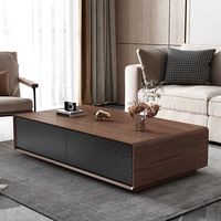 Table basse ultra-mince minimaliste moderne Nouveau style nordique de luxe léger haut de gamme pour grand petit appartement salon usage domestique