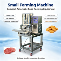 Macchina Automatica Industriale VICMAI per Formare Hamburger con Capacità 100-2000kg/h, Tensione 220V/380V, Garanzia di 1 Anno