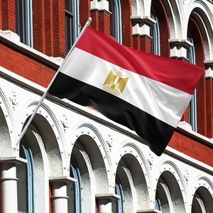 Drapeaux de fanions personnalisés de haute qualité 3x5 de tous les pays, y compris l'Égypte, en tissu avec logo personnalisé, prix d'usine - Product Image 3