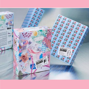 KPOP ILLIT - Primer Sencillo en CD - NOT CUTE ANYMORE - ILLIT X Ashley Williams - Álbum Coleccionable Oficial - Grupo Femenino Coreano - Bluewave - Product Image 2