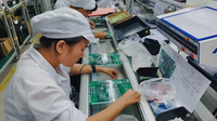 Placa Base Multicapa FR-4 de 4 Capas para Itx con Más de 20 Años de Experiencia, Placa de Desarrollo Esp32s3, Servicios de Ensamblaje de PCB y PCBA, Inmersión en el Desarrollo de Teléfonos Móviles