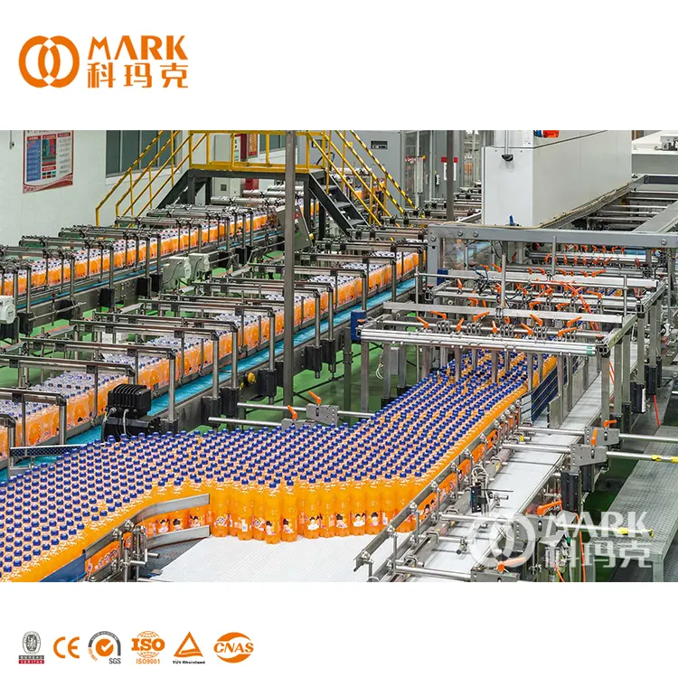 Complete Concentrated Juice Fruit Pineapple Mango Juice Making Processing Filling Production Line