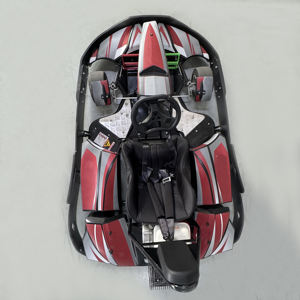 270cc 성인용 가솔린 고카트 5.3L 페트롤 상업용 고성능 드리프트 레이싱 야외 카트 차량 - Product Image 3