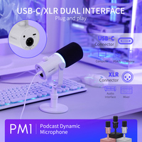 Microphone de jeu FEELWORLD PM1 XLR/USB avec bras articulé pour le streaming en direct et le podcasting
