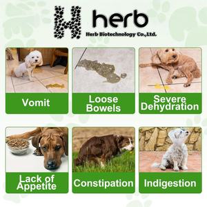 Suplemento Probiótico en Polvo para Mascotas ODM/OEM, Salud Digestiva para Perros, Apoyo para el Intestino - Product Image 5