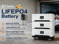 Batterie de stockage d'énergie modulaire séparée 51.2V 48V LiFePO4 10KWh 15KWh 16KWh 20KWh empilable avec conception CAN pour système solaire