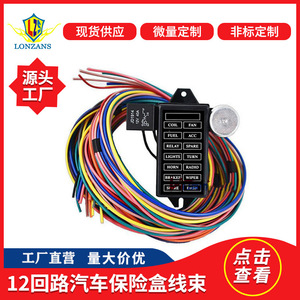 Boîte à fusibles 12 circuits Dragon Leap Automotive, faisceau de câblage 12V, âme en cuivre, isolation en PVC pour système électrique automobile - Product Image 5