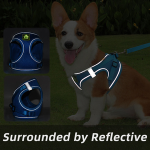 Breathable No <strong>Pull</strong> Mesh Pet <strong>Leash</strong> and Harness Vest Belt for Dogs Cats - Product Image 5