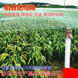 Malla Protectora Chengye para Árboles Frutales y Huertos, Malla de PE para Protección de Jardines, Malla Aérea para Bayas de Goji, Cerezas y Uvas - Product Image 3