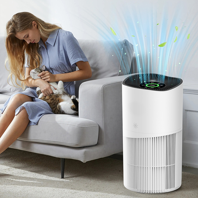Private Label Oem Home Pet Wifi Smart Air Purifier for Home Large Room Bedroom